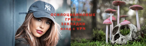 гидропоника Алексеевка