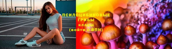 гидропоника Алексеевка