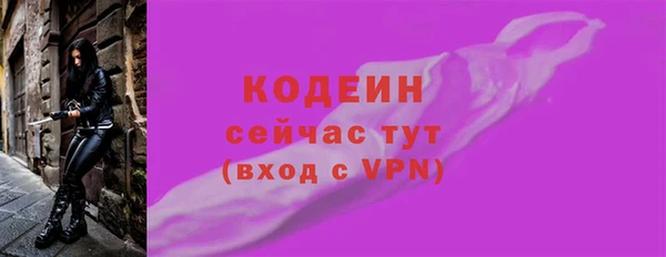 дживик Осинники